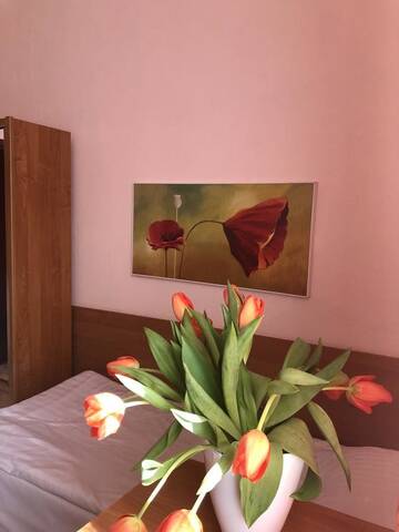 Фотографии Отель Hotel Haga г. Ченстохова (Польша) №1 Фото Отель Hotel Haga г. Ченстохова 1